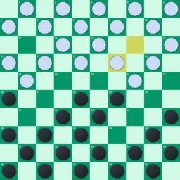 インターナショナル・ドラフツ